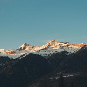 德阳密集柜厂家用小鲤营销导航
